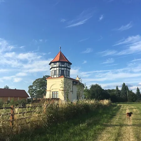 Holiday home Vidim *